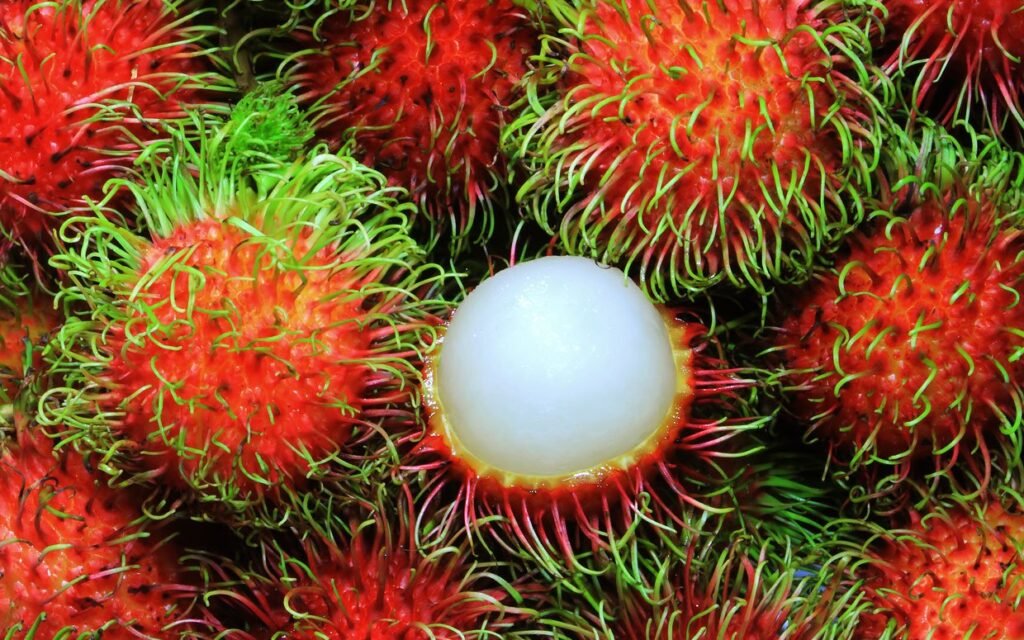 23.huongchomchom 1 - 10 Strange And Exotic Fruits In Vietnam