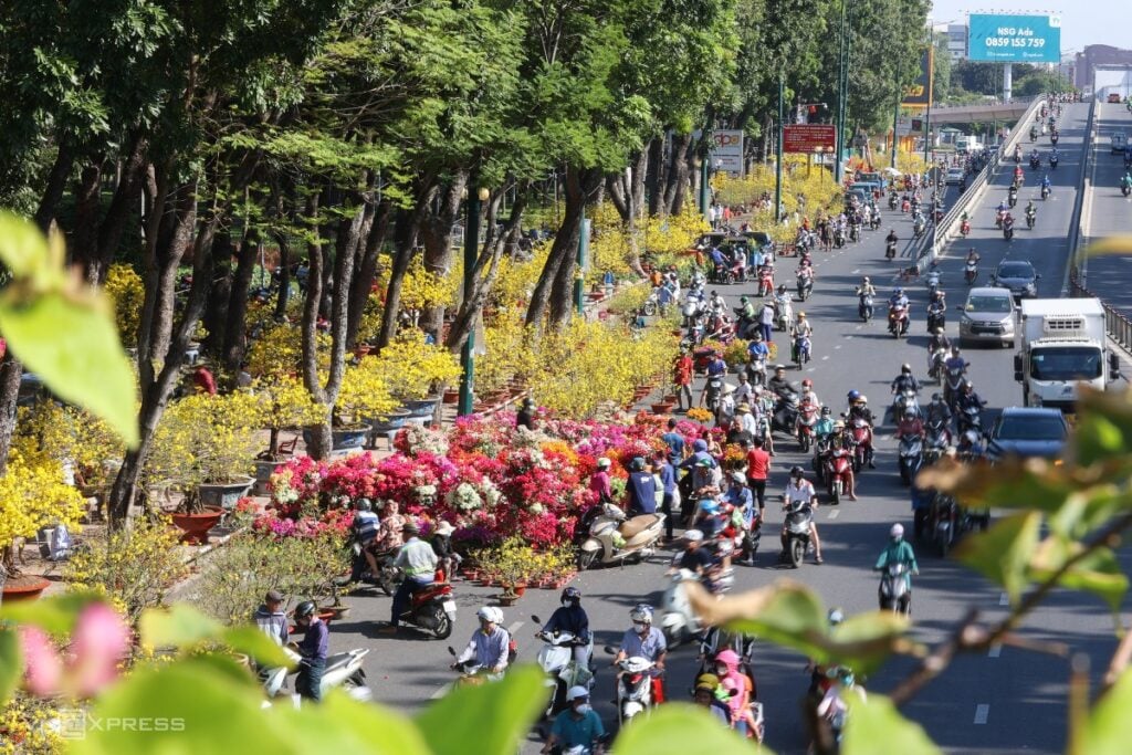 Vietnamese Tet Flowers, Lucky Plants & Tree Markets - Vietnam Is Awesome