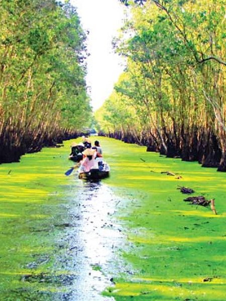 Tra Su Bird Sanctuary - Mekong Delta