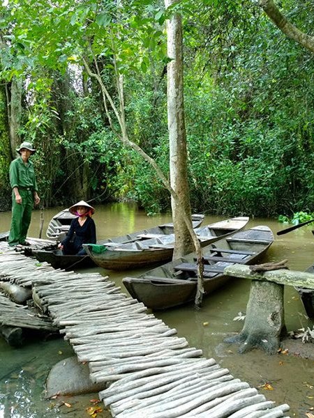 xeo quyt forest 01 - Mekong Delta