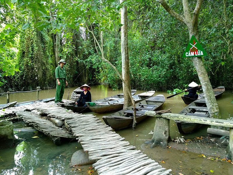 xeo quyt forest 01 - Mekong Delta