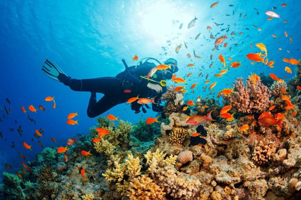 SNORKELING-DIVING-SPOTS-IN-PHU-QUOC