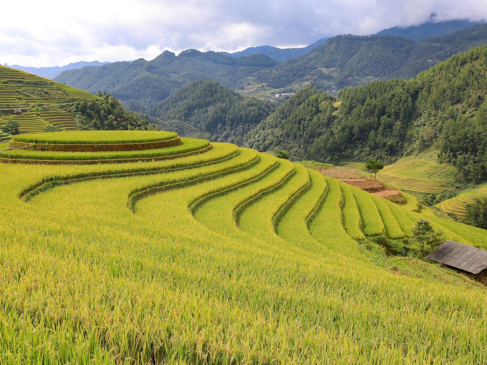Featured photo mu cang chai - Your Guide To Mu Cang Chai - Beyond The Rice Fields