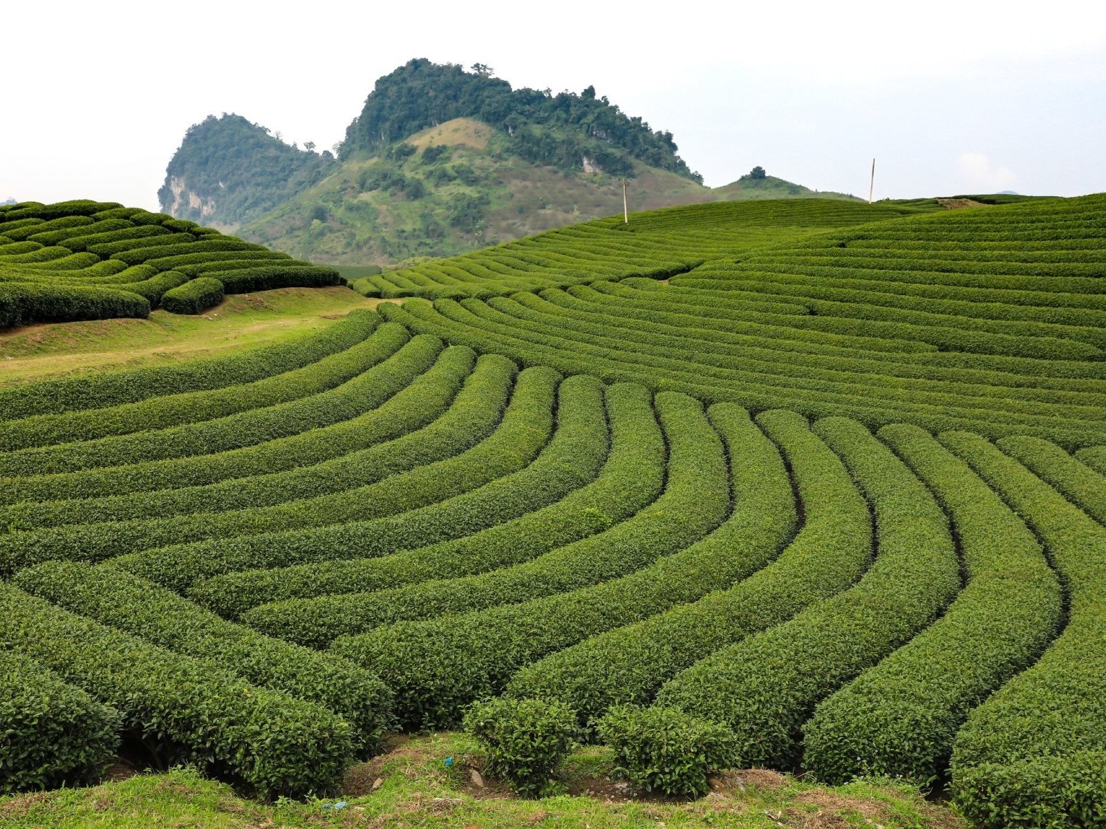 Guides 27 Best Time To Visit Vietnam In 2024