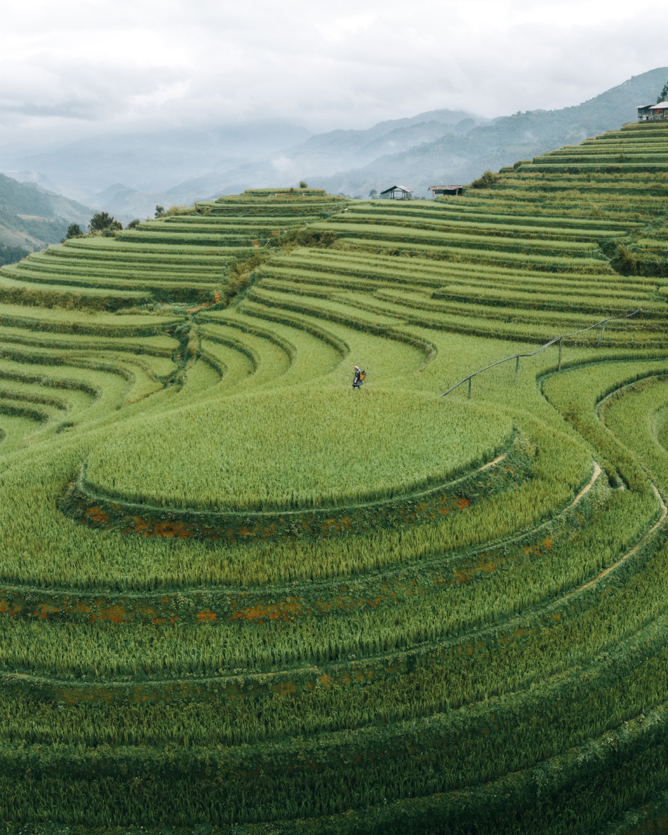 Your Guide To Mu Cang Chai - Beyond The Rice Fields 2024 - Vietnam Is ...