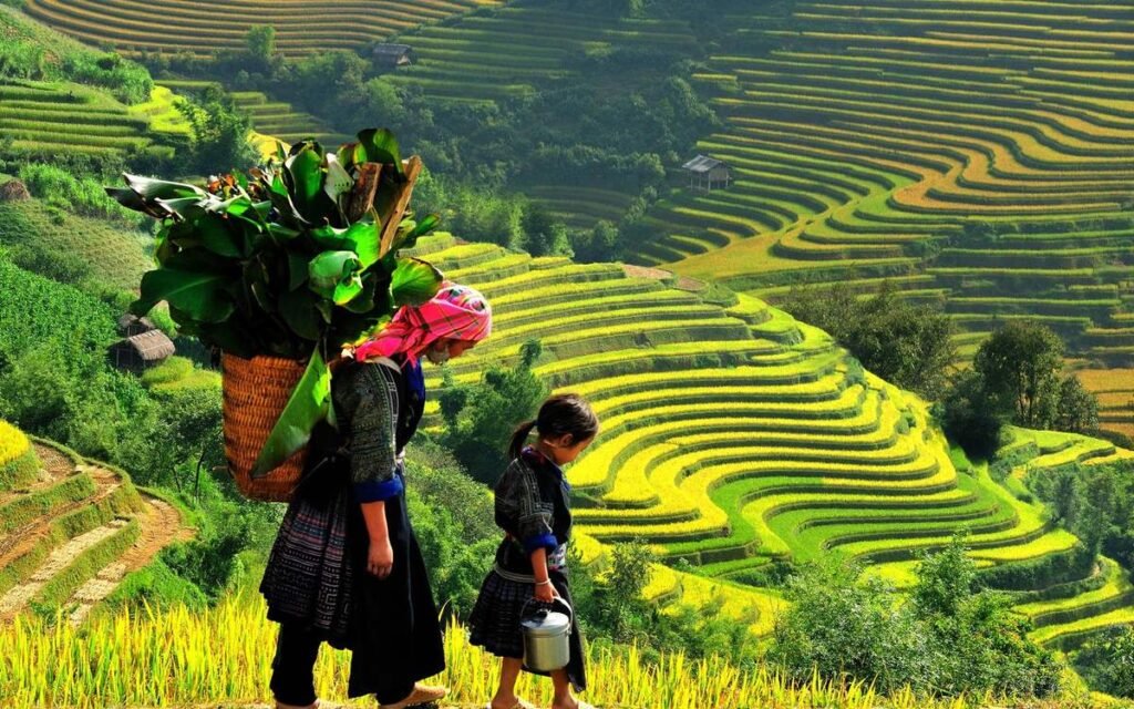 ta phin village 02 1682131568 - Sapa Vietnam Attractions: Discover The Lush Landscapes & Cultural Treasures Of Must-Visit Sights
