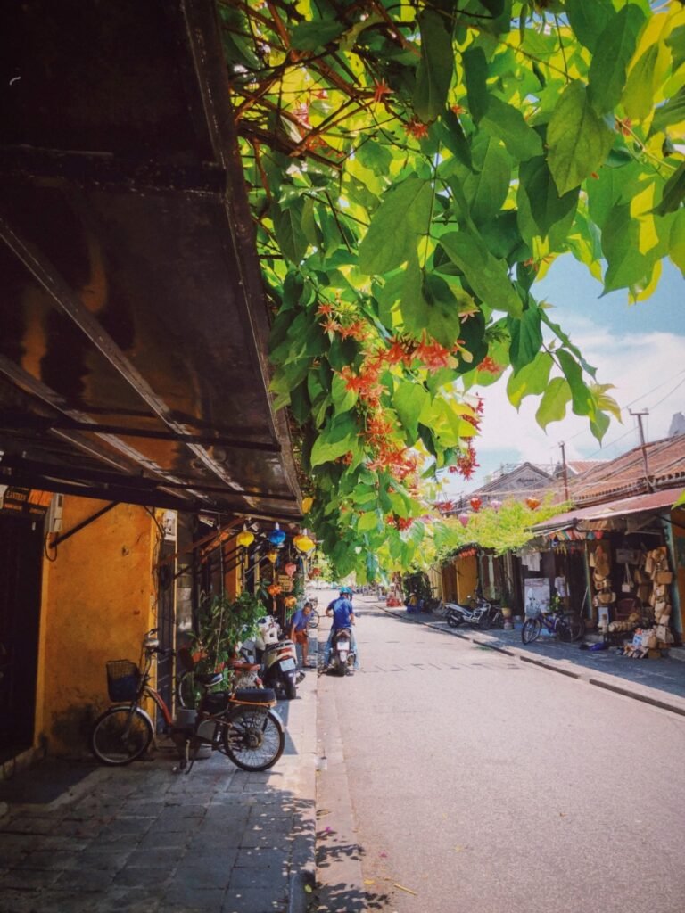 what to buy in hoi an5 - What to Buy in Hoi An: Leather, Crafts, and Local Treasures