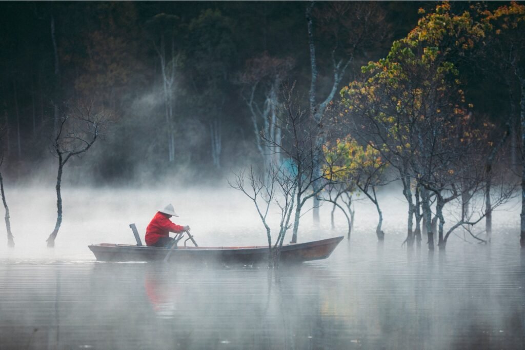 Tia River one of most cinematic places in Da Lat. Photo by Do Phan Anh - Central Vietnam Guide: 7 Must-Visit Destinations Await!