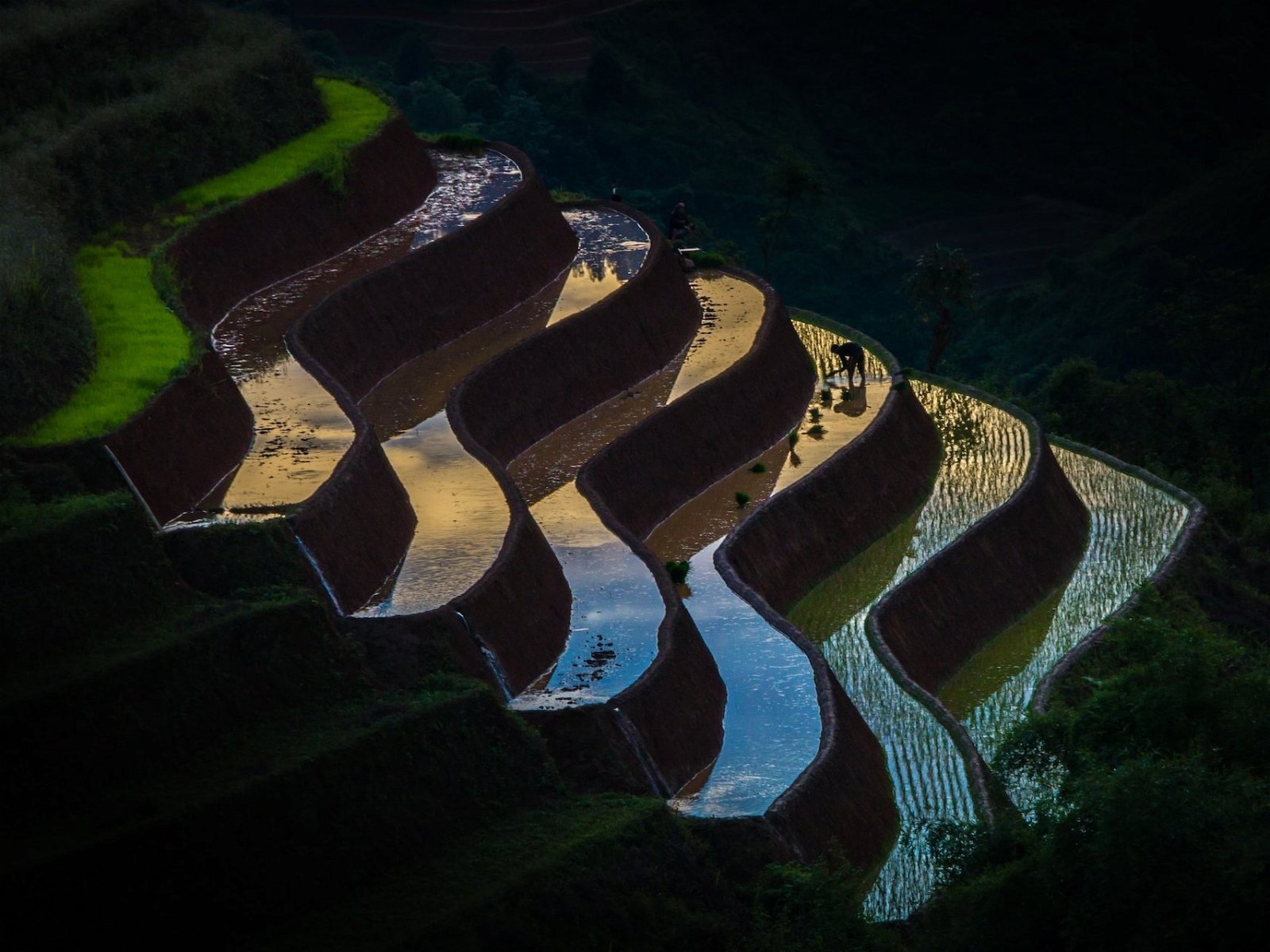tu nguy n yW9DcLDYdMw unsplash 1 1 - Things To Do In Ha Giang
